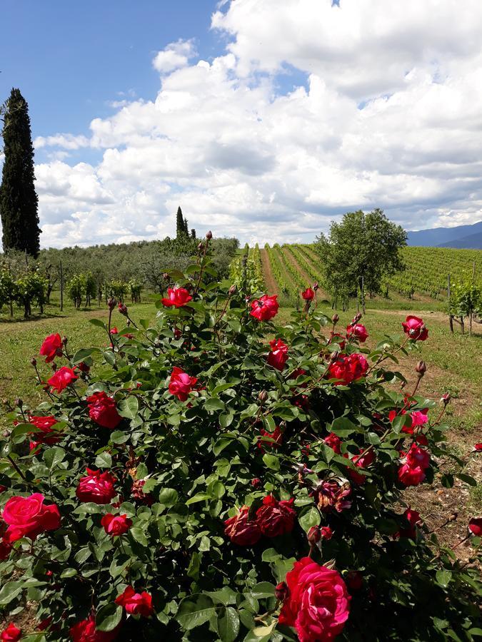 La Vecchia Quercia Villa Pergine Valdarno Buitenkant foto